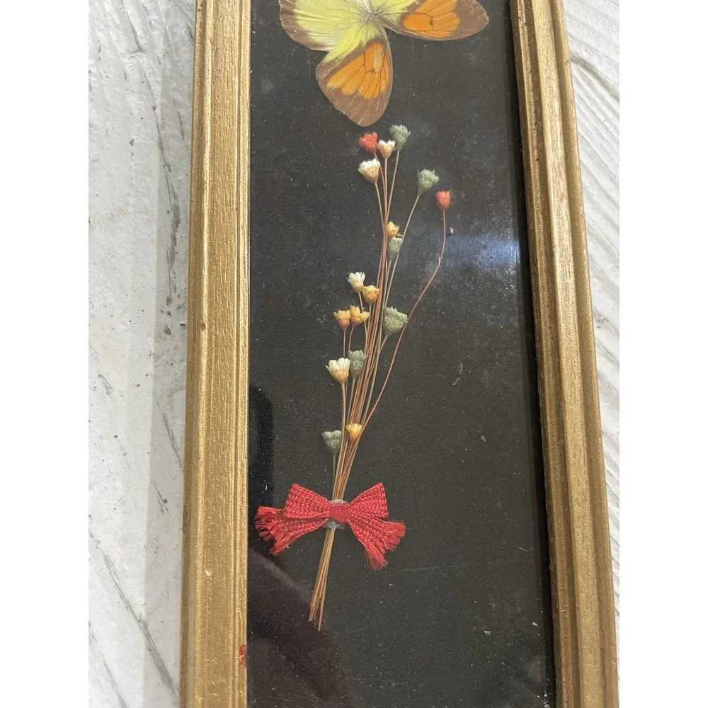 Vtg MCM Framed Dried Flowers‎ and Butterfly Specimen  4x9